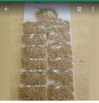 Fenugreek - 01058