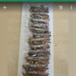 Cinnamon Stick - 01040