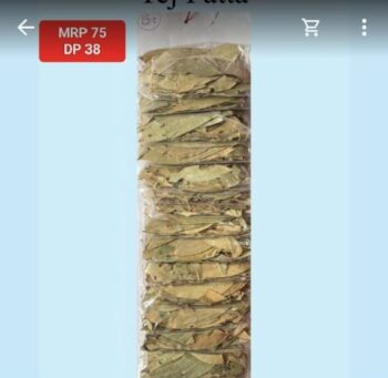Brinju Leaf - 01097
