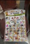 02339 /KEYCHAIN LOTTERY PRICE SHEET /MRP 250 /DP 75 /BOX  50 SHEET